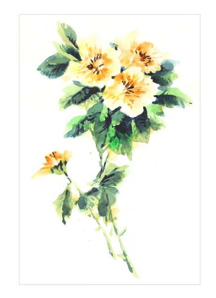 元の水彩画の花 — ストック写真