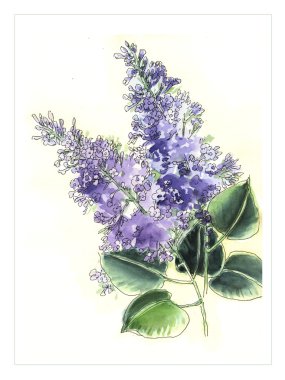 orijinal suluboya çiçek