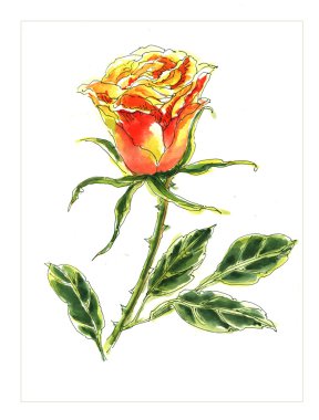 orijinal suluboya çiçek