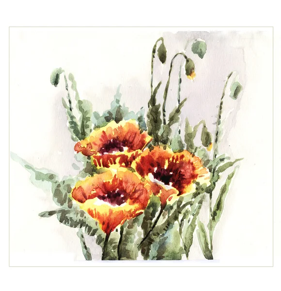 Orginal aquarela flores pintura — Fotografia de Stock