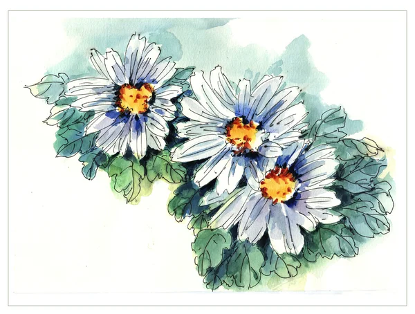 原始水彩花卉绘画 — 图库照片