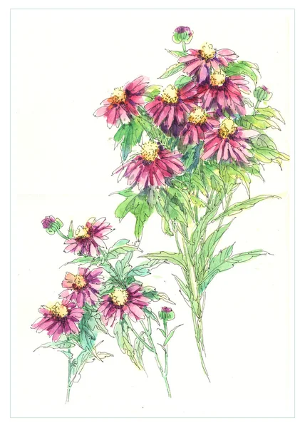 元の水彩画の花の絵画 — ストック写真