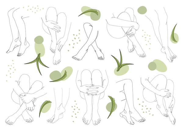 Collecte Silhouettes Jambes Dame Pieds Feuilles Aloe Vera Dans Style — Photo