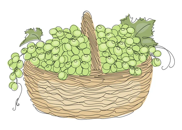 Basket with ripe bunches of grapes. Image in modern single line style. Solid line, decor outline, posters, stickers, logo. Vector illustration.