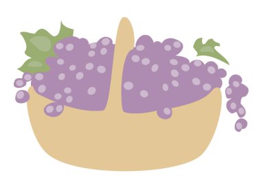 Basket with ripe purple grapes. Picture for decor, posters, stickers, logo. Vector illustration.