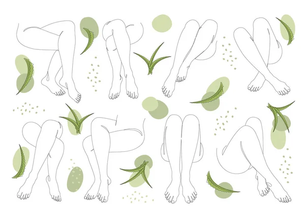 Collection. Silhouettes of lady legs, feet and aloe vera leaves in modern style. Solid one line drawing, outline for decor, wall posters, stickers, logo. Set of vector illustrations.