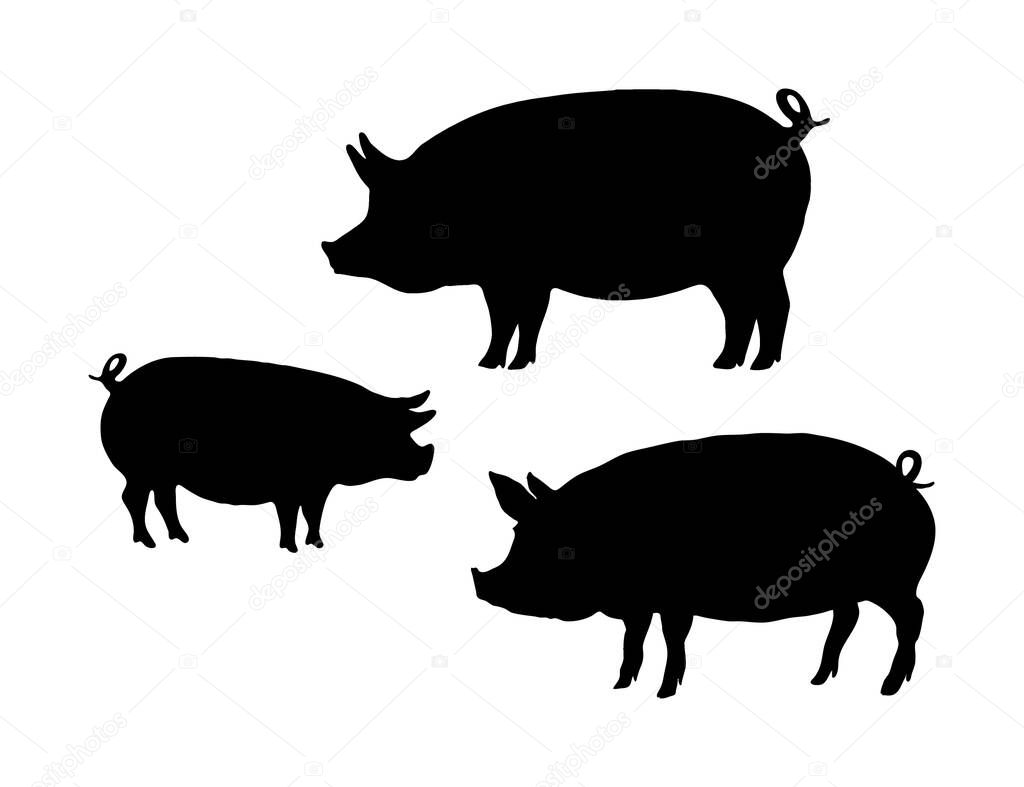  A set of 3 flat pig silhouette icons in black, isolated on a white background. 
