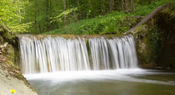 Cascata Del Fiume Filtro Grigio Una Foresta Una Giornata Sole — Foto Stock