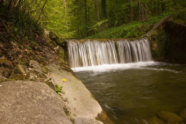 河流的瀑布落在森林里 — 图库照片