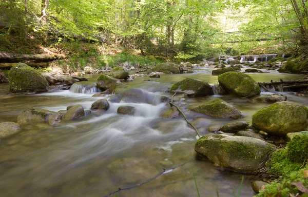 Güneşli bir günde ormandaki güzel bir nehir.