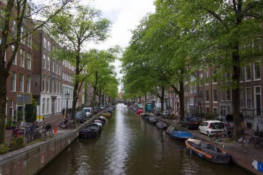 Amsterdam şehir kanalı ağaçlarla çevrili