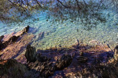 The forest meets the sea, in Sithonia, Chalkidiki, Greece clipart