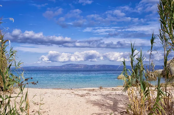 Sandy little beach in Sithonia, Chalkidiki, Greece, like a paradise — Stock Photo, Image