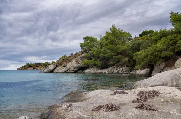 Ősszel a tenger mellett, sithonia, chalkidiki, Görögország — Stock Fotó