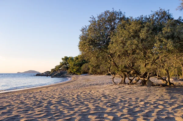 Playa de arena en Sithonia, Chalkidiki, Grecia, al atardecer — Foto de Stock