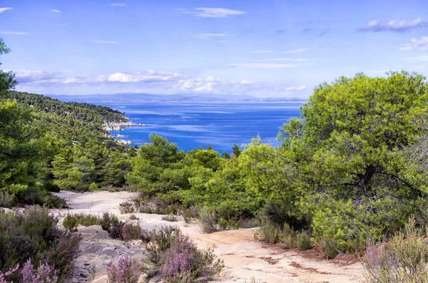 Ścieżka żwir do zacisznej plaży w sithonia, chalkidiki, Grecja — Zdjęcie stockowe