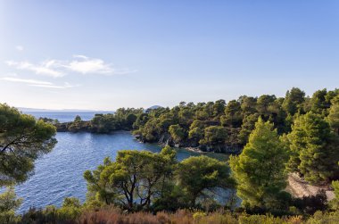Orman ve muhteşem deniz, sithonia, chalkidiki, Yunanistan