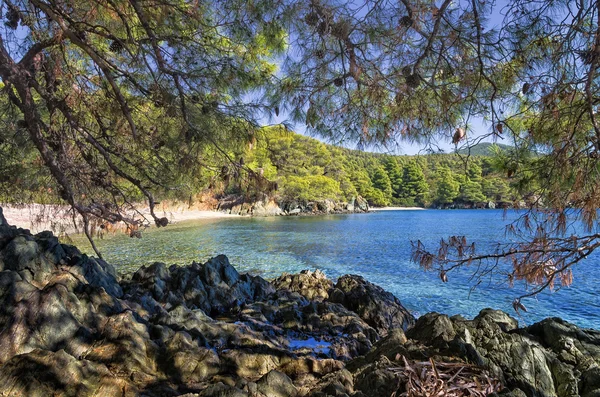 Erdő és a csodálatos tenger, sithonia, chalkidiki, Görögország — Stock Fotó