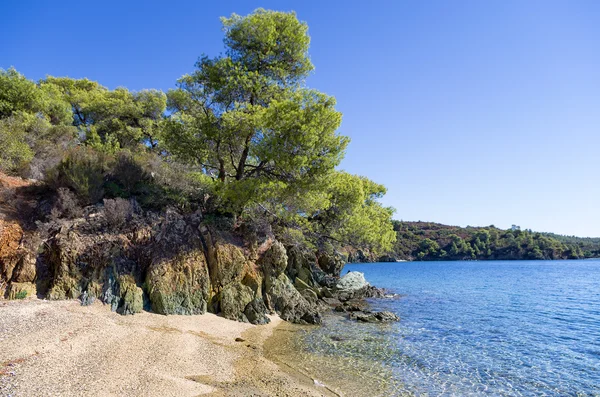 Pădurea întâlnește marea în Sithonia, Halkidiki, Grecia — Fotografie, imagine de stoc