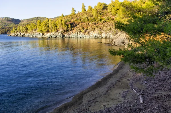 Wonderful beach at dusk in Sithonia, Chalkidiki, Greece — Stock Photo, Image