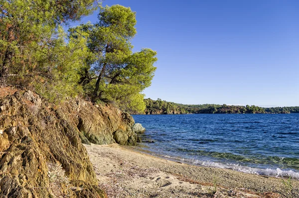 Lesie spotykają się z morzem w sithonia, chalkidiki, Grecja — Zdjęcie stockowe