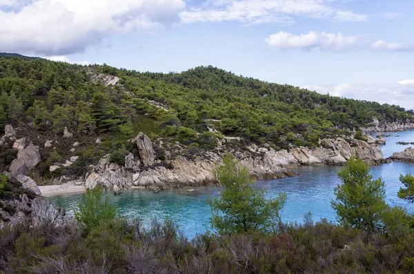 Lesní a úžasné moře, v Chalkidiki, Řecko — Stock fotografie