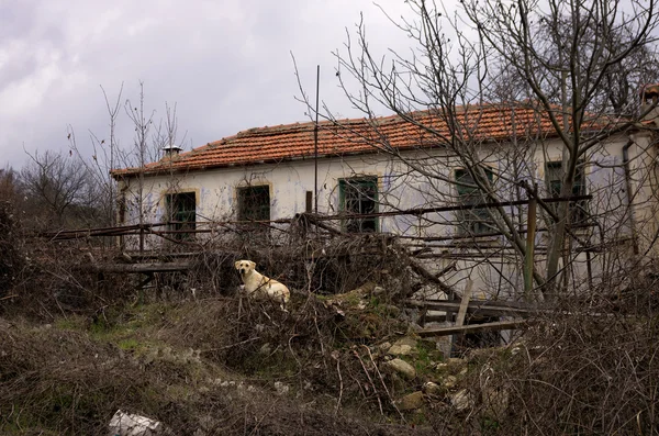 Vecchia e trascurata casa in Florina, Grecia — Foto Stock