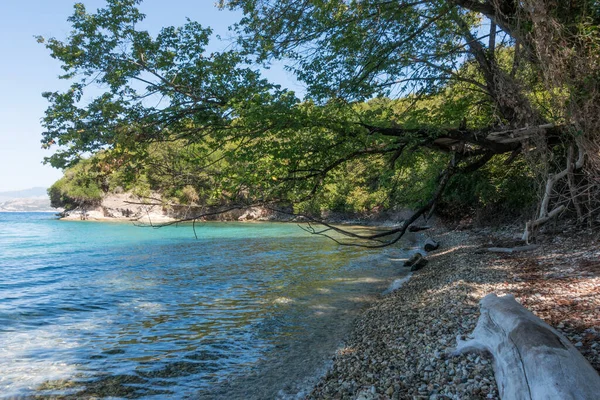 Increíble Paisaje Junto Mar Bosque Erimitis Noreste Corfú Grecia — Foto de Stock