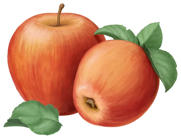 Zwei rote Äpfel und Blätter — Stockfoto