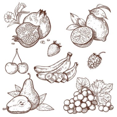 pictogrammen van zoete fruit en bessen