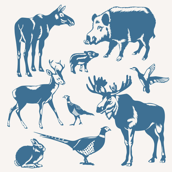 wild animals on a white background