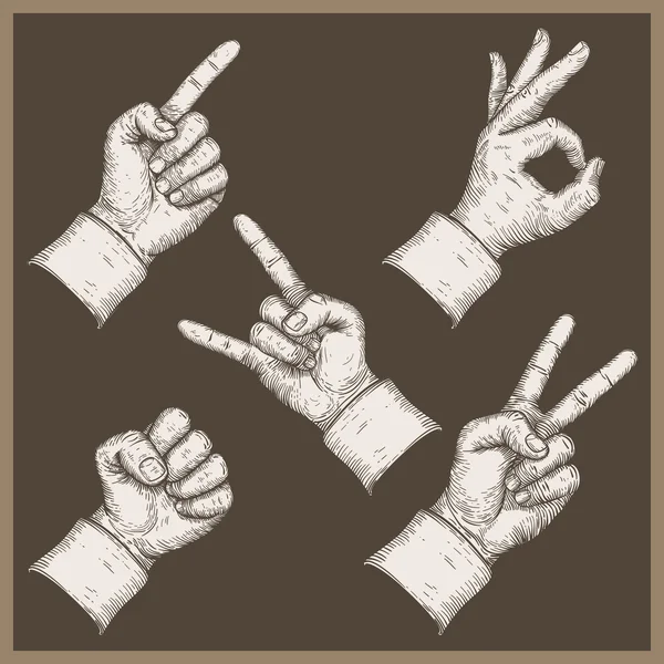 Изображение пяти рук — стоковый вектор