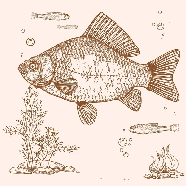 Grabado de pescado — Vector de stock