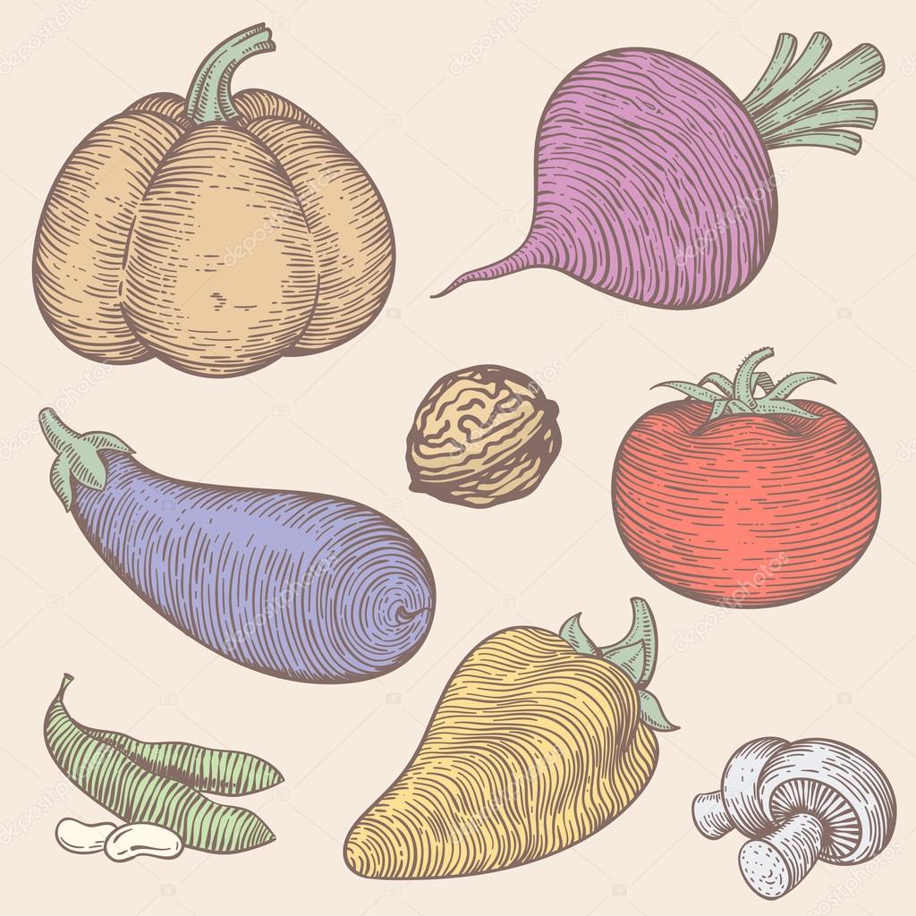 the set of vegetables