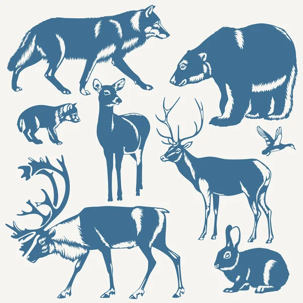 Animales salvajes del norte sobre un fondo blanco — Vector de stock