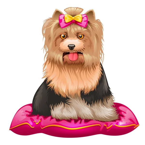 Poco Yorkshire Terrier en la almohada — Vector de stock