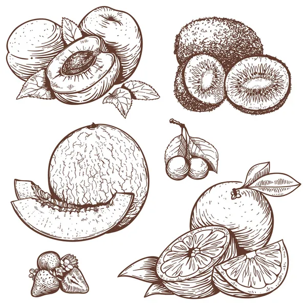Grabado ilustración de frutas y bayas dulces — Vector de stock