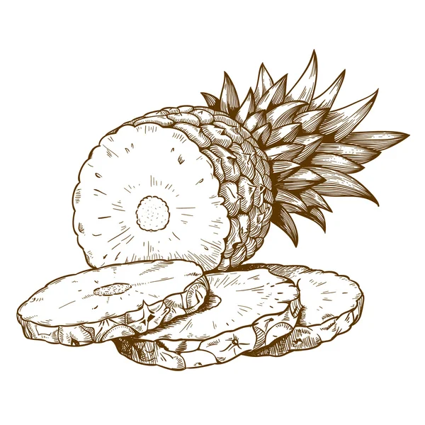 Gravure tranches d'ananas sur fond blanc — Image vectorielle