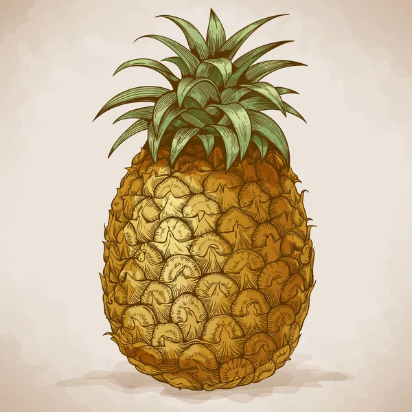 Grabado de piña en estilo retro — Vector de stock