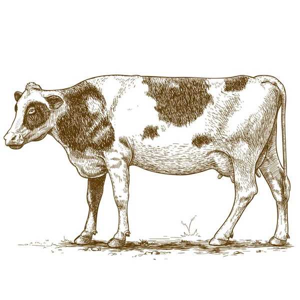 彫刻の牛のベクトル イラスト — ストックベクタ