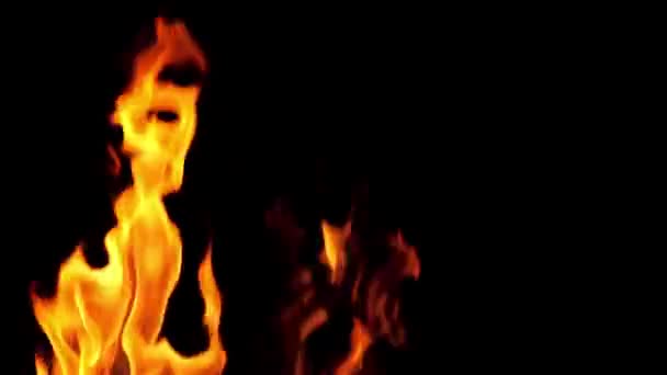 Vraies Flammes Feu Isolées Sur Fond Noir Feu Joie Herbe — Video