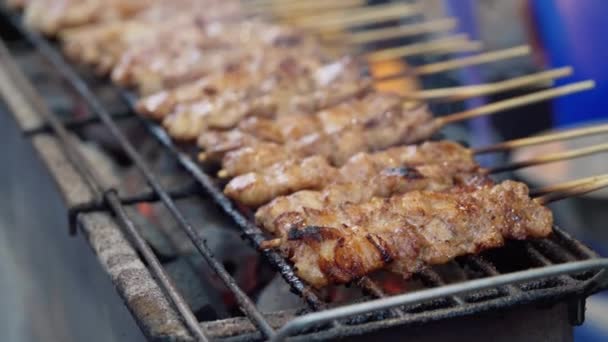 Grilling Crocodile Meat Street Food Thailand Meat Exotic Skewers Barbecue — Stock Video