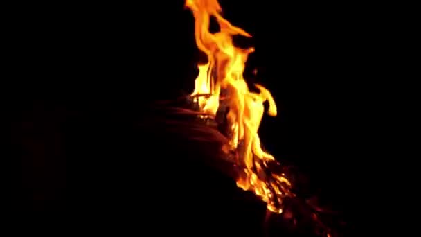 Αληθινές Φλόγες Φωτιάς Απομονωμένες Μαύρο Φόντο Φωτιά Από Γρασίδι Φωτιά — Αρχείο Βίντεο