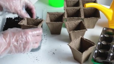 A man pours soil into peat pots for seedlings. Preparing and growing seedlings at home. Spring planting. Botanical hobby.