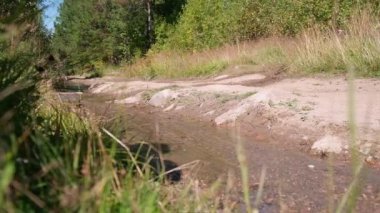 Yetişkin kadın gezgin kot pantolon ve yürüyüş botları ile orman yolunda yürür. Yavaşça yürüyen kadın bacaklarına yakın plan. Yürüyüş botları giymiş ayaklar bir dere boyunca yürür.