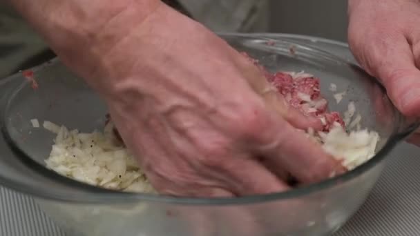 Préparation Remplissage Pour Tartes Samsa Chef Masculin Mélange Viande Hachée — Video