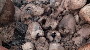 Barbekü için kızgın kömür ahşap bir sopayla karıştırılır. Çubuk kızgın kömürden yanıyor. Izgarada pişirmek için uygun sıcaklık. Yakın plan. yavaş çekim.