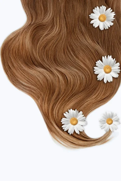 Cosmetisch Voor Haar Bloemen Voor Haar Een Witte Achtergrond Kamille — Stockfoto