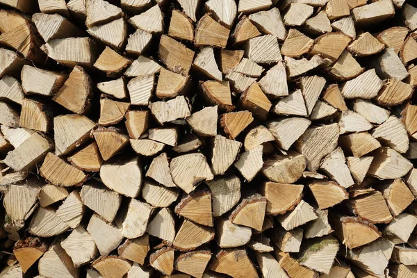 Kış için odun yığını