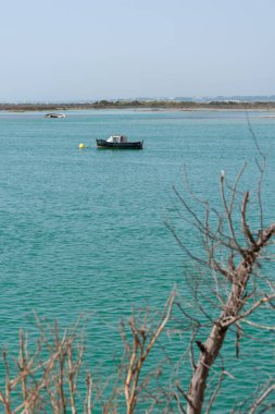Cadiz, Puerto Real 'deki Cachucha sahilinde balıkçı tekneleri. Endülüs, İspanya. Avrupa.